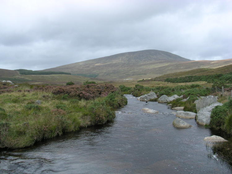 Wicklow Mts