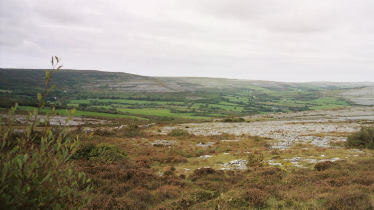 Clare - The Burren