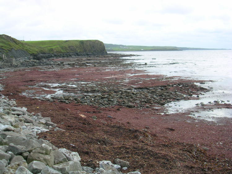 Lahinch