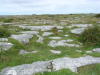 Clare - The Burren - Poulnabrone Tomb