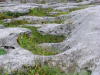 Clare - The Burren - Poulnabrone Tomb