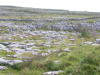 Clare - The Burren