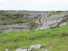 Clare - The Burren