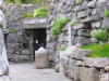 Clare - The Burren - Aillwee Cave